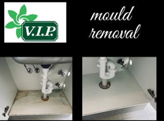 Dima El Kari - Magic of our product on mould