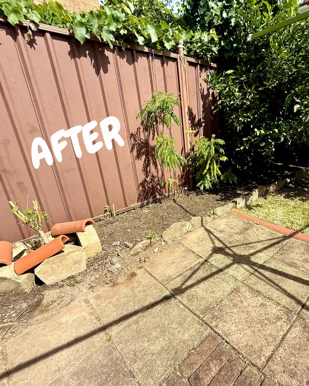 Anthony Jury - Garden Tidy Up - After