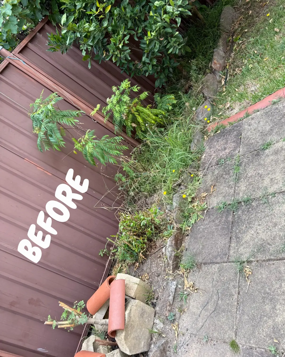 Anthony Jury - Garden Tidy Up - Before