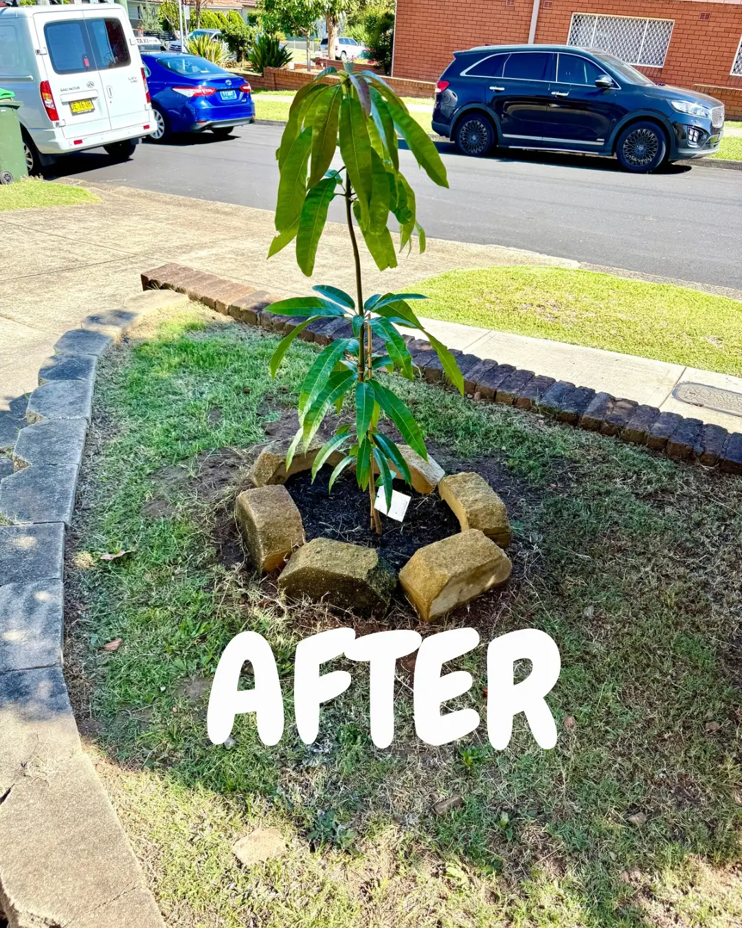 Anthony Jury - Gardening 2 - After