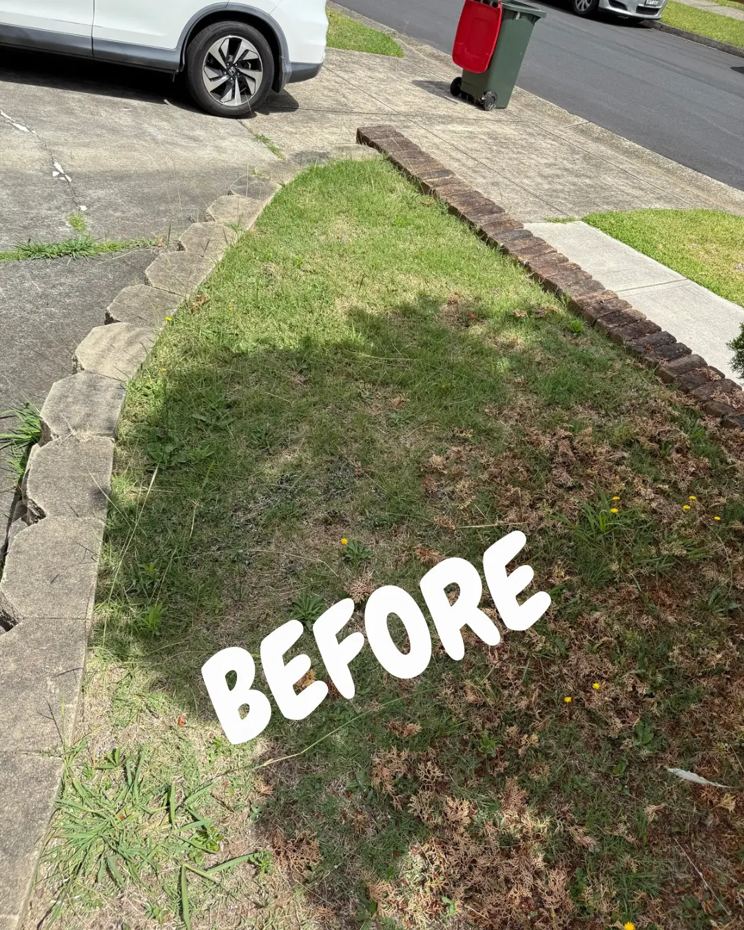 Anthony Jury - Gardening 2 - Before