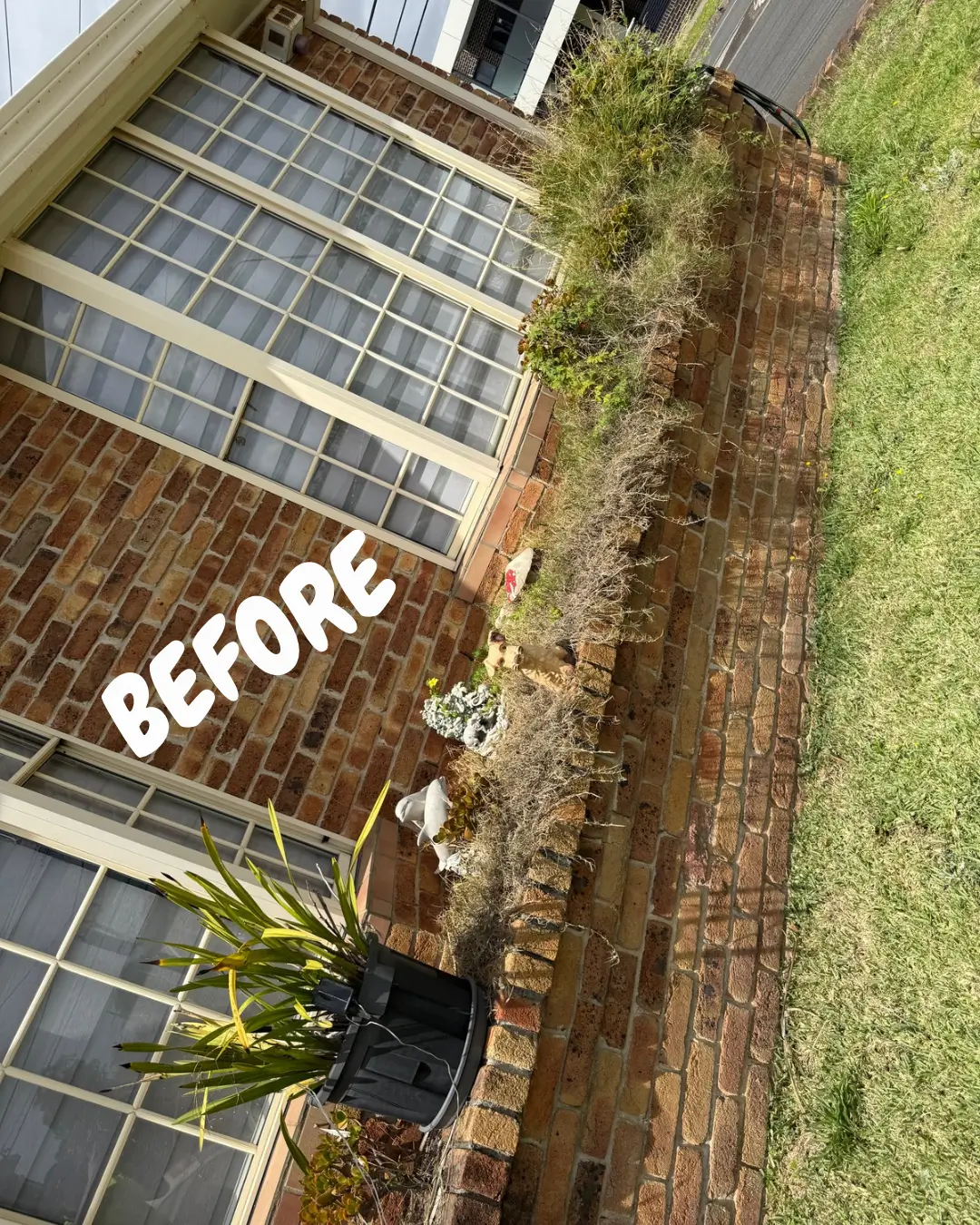 Anthony Jury - Gardening - Before