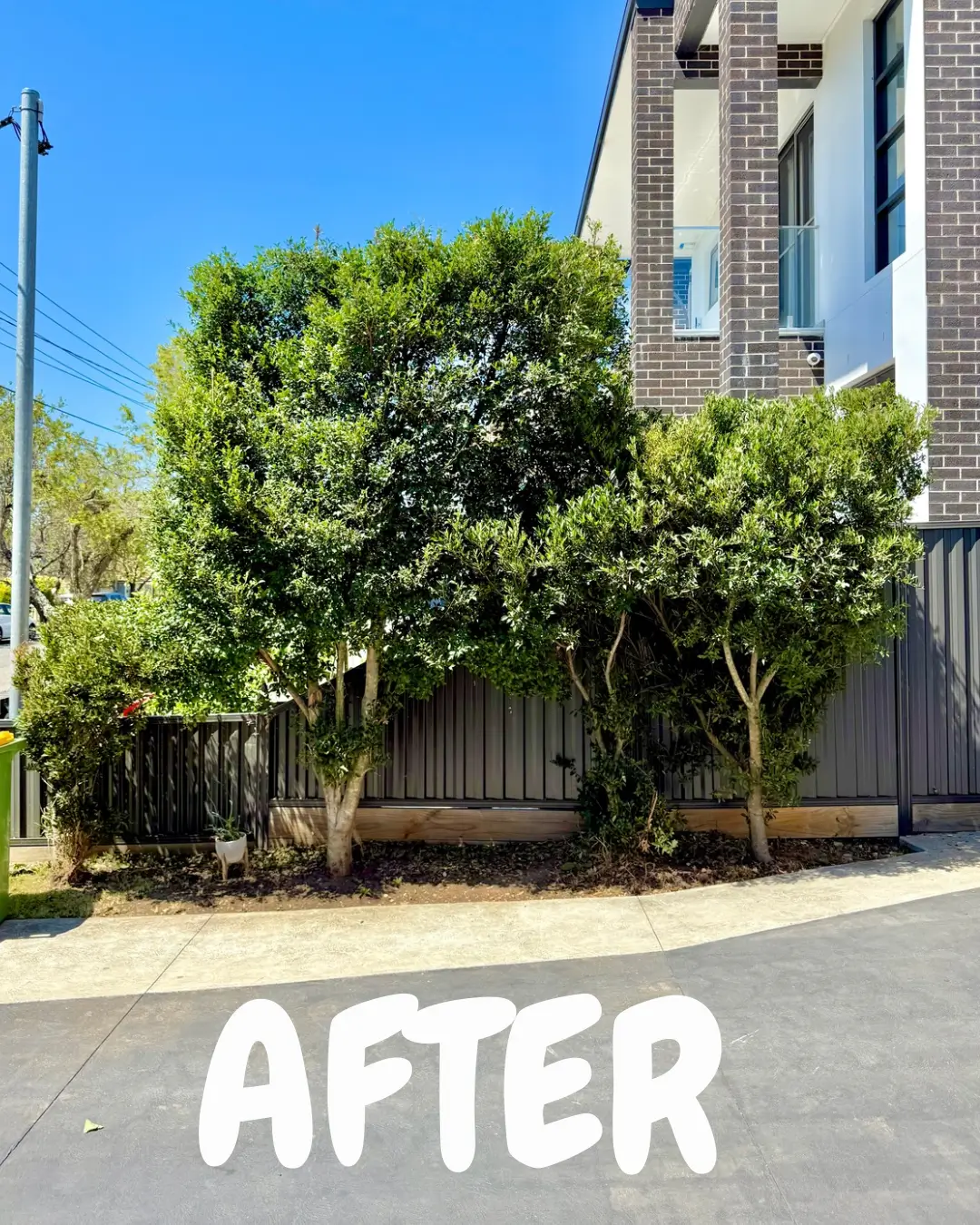 Anthony Jury - Hedging - After