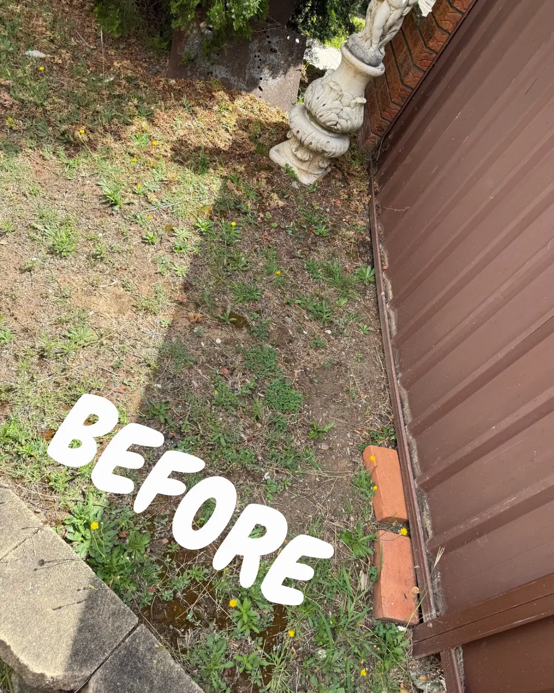 Anthony Jury - Landscaping 2 - Before