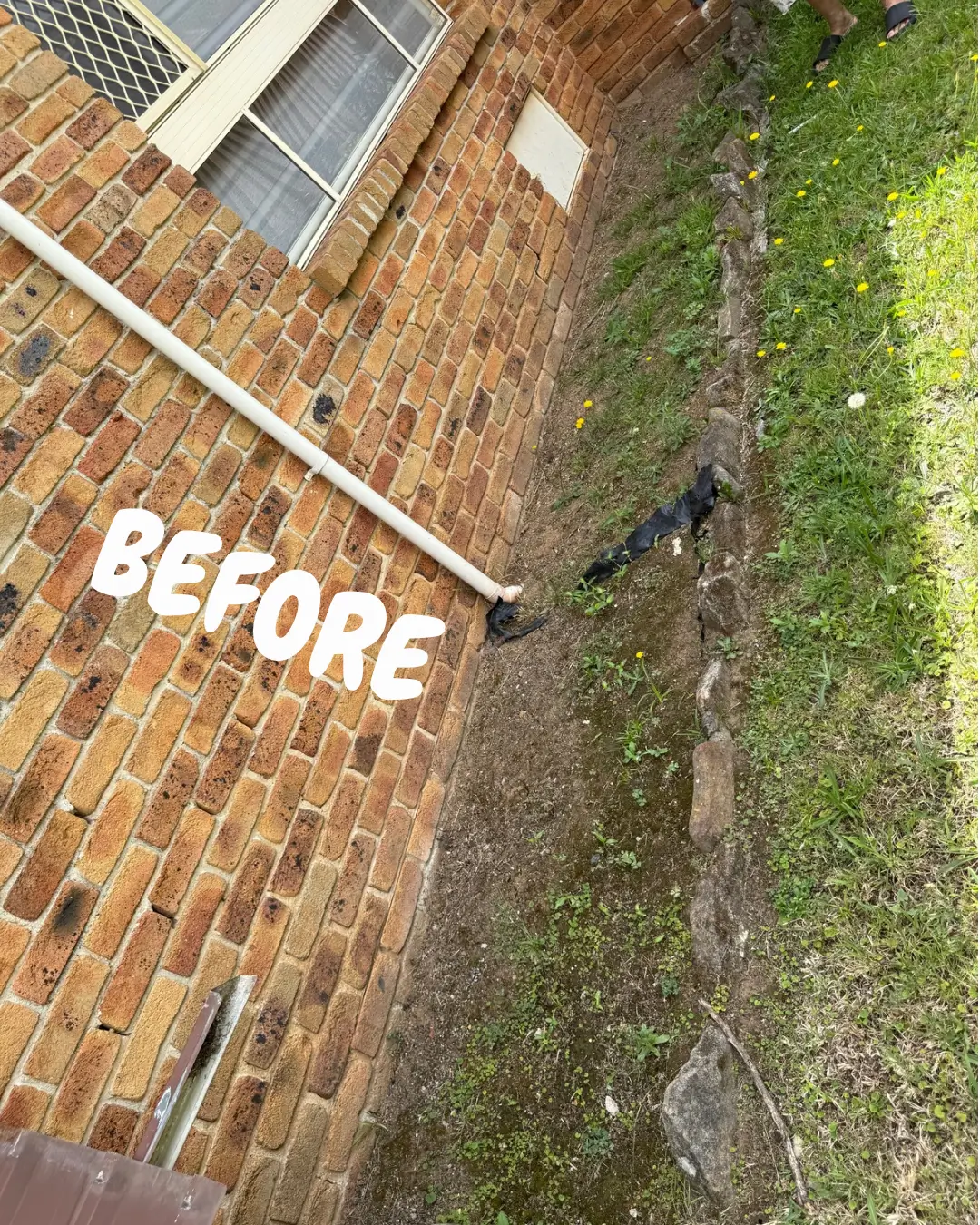 Anthony Jury - Landscaping - Before