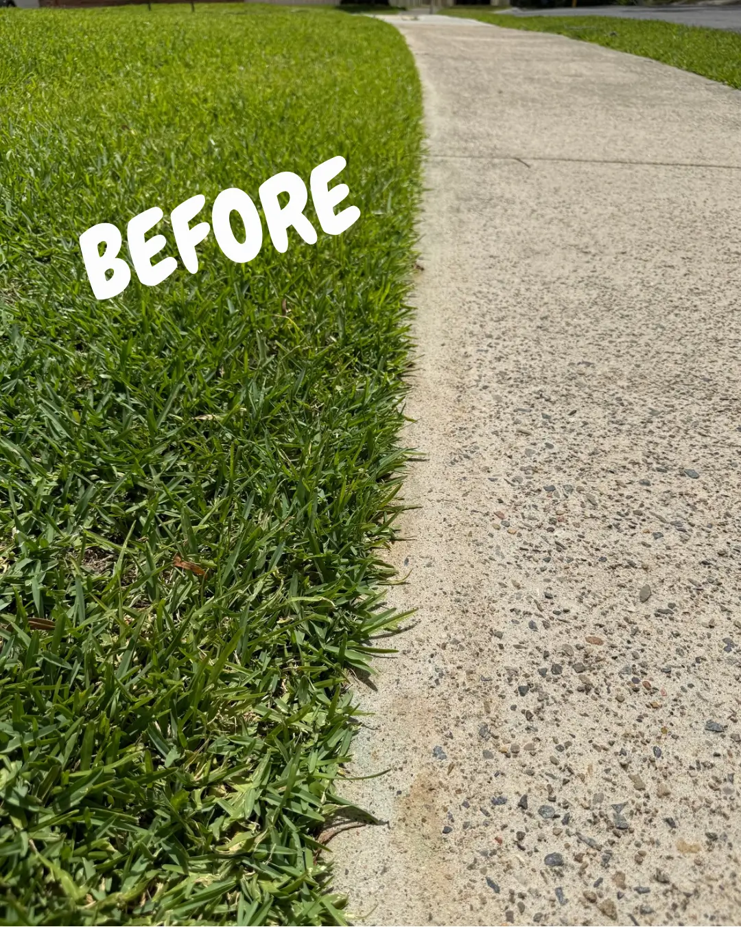 Anthony Jury - Lawn Maintenance Edging - Before