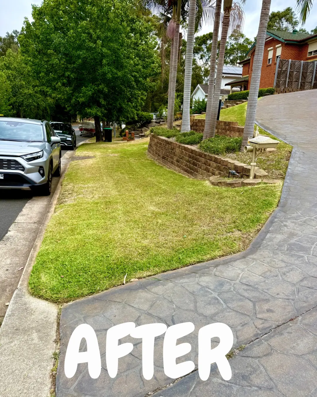 Anthony Jury - Lawn maintenance 3 - After