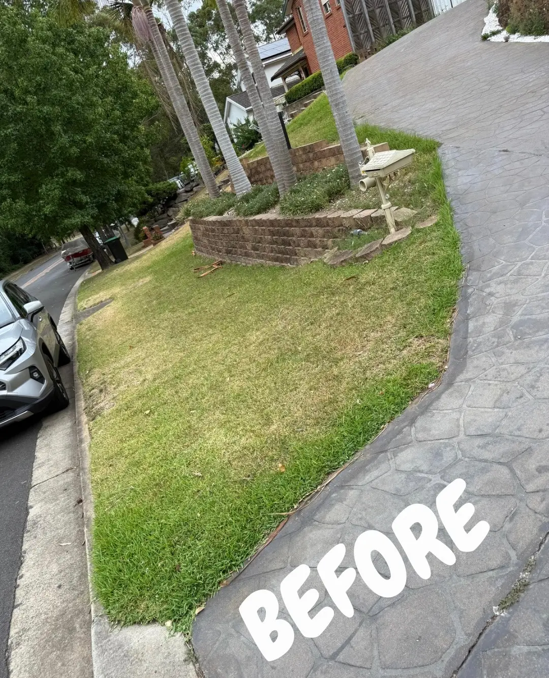 Anthony Jury - Lawn maintenance 3 - Before