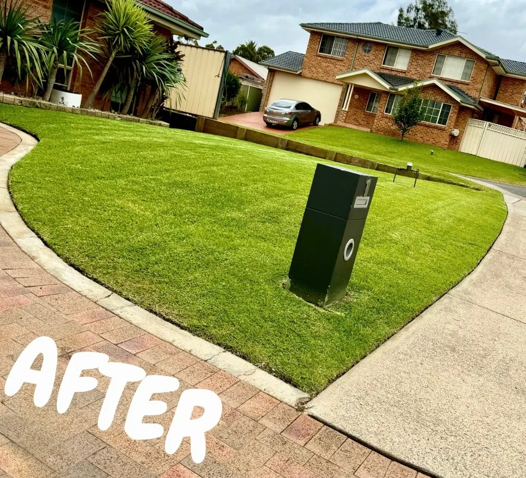 Anthony Jury - Lawn maintenance - After