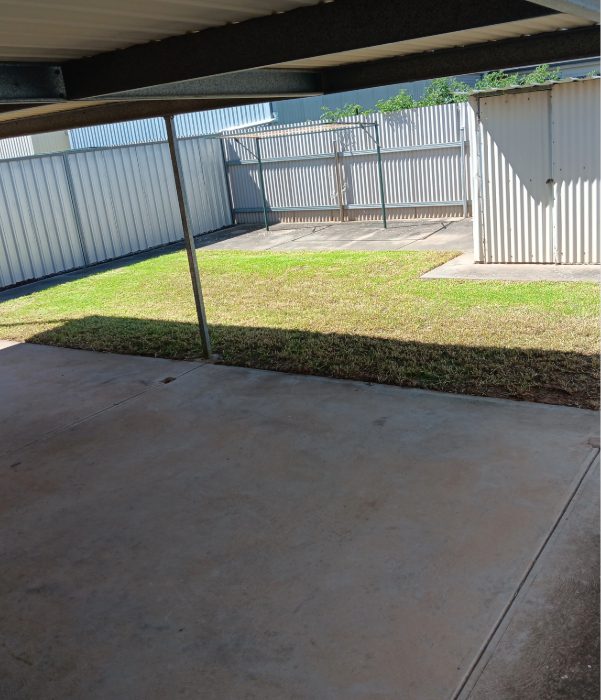 Lawn 2 - after (1)