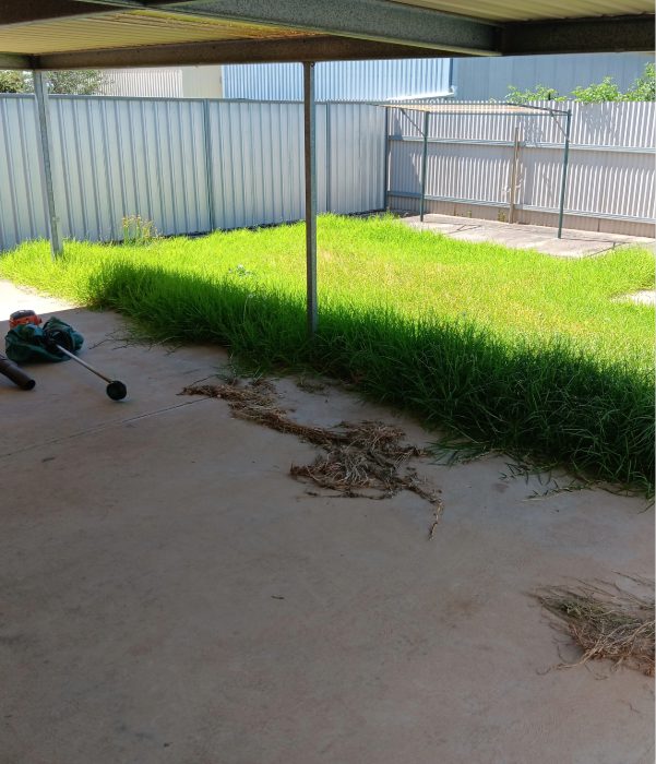 Lawn 2 - before (1)